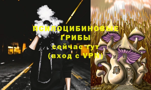 героин Алексин