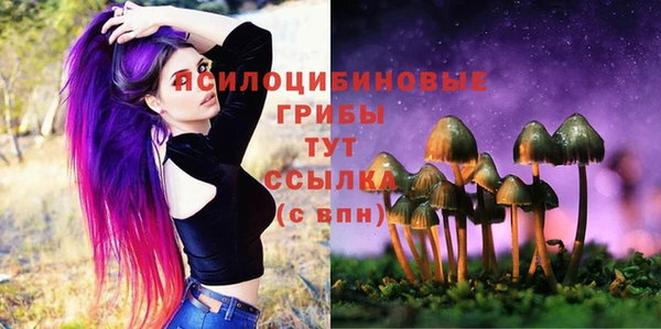 героин Алексин